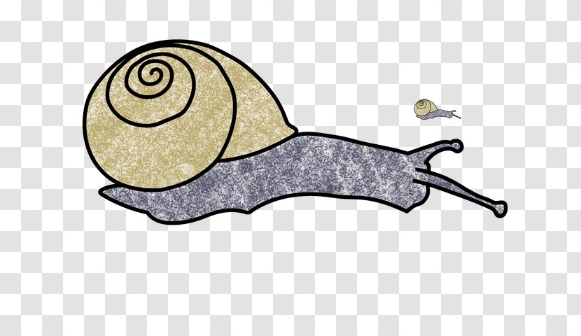 Snail Cartoon - Fish - Invertebrate Lymnaeidae Transparent PNG