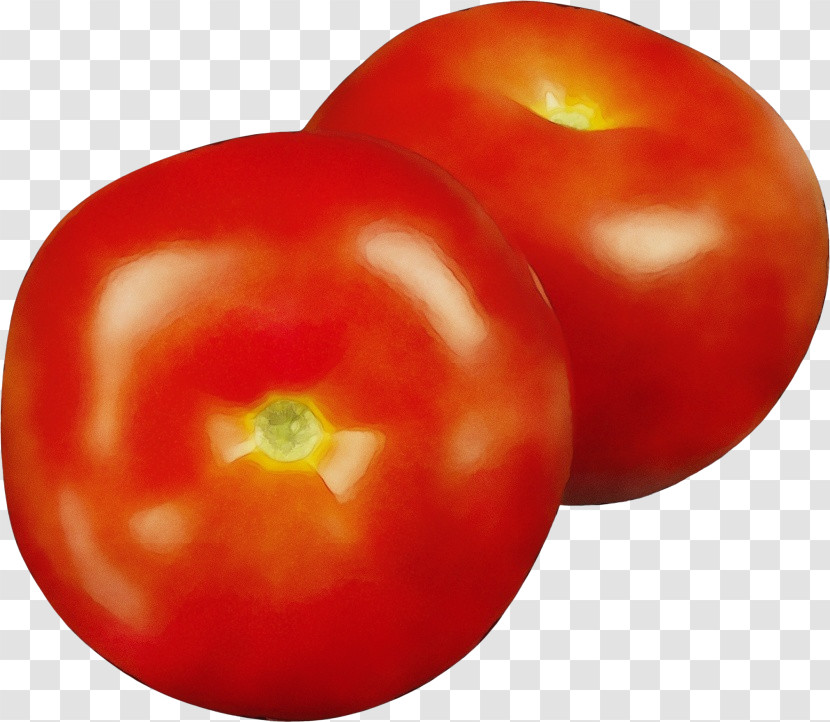 Tomato Transparent PNG