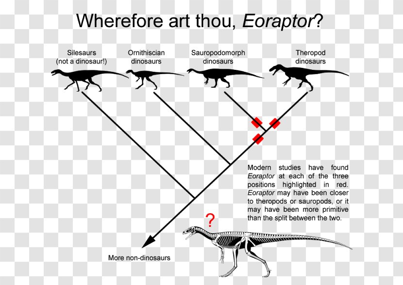Eoraptor Lunensis Carnotaurus Theropods Drawing Dinosaur Transparent PNG