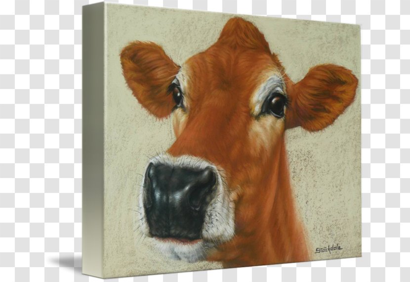 Dairy Cattle Calf Painting - Snout - Cow Watercolor Transparent PNG