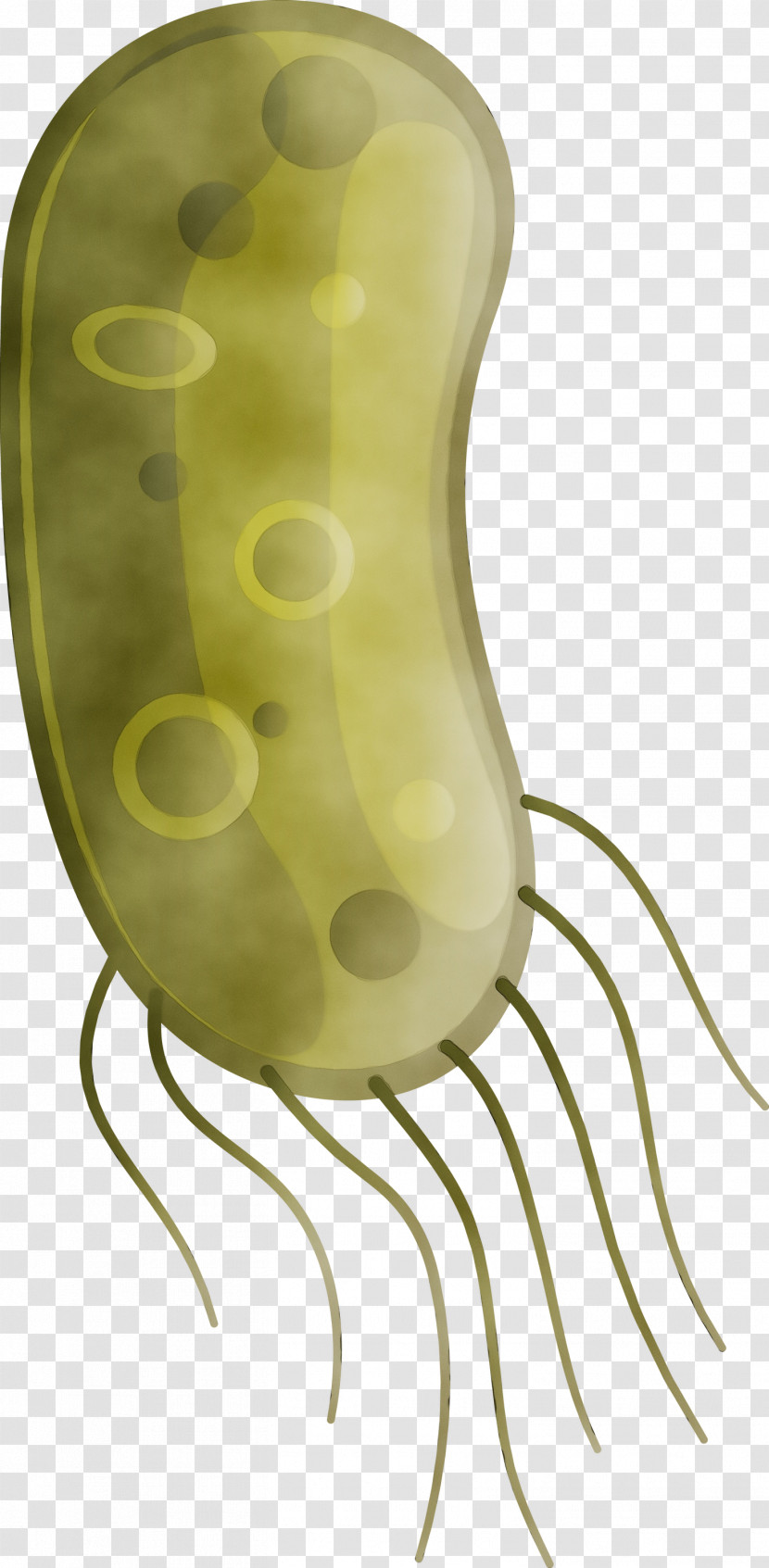 Yellow Plant Nepenthes Transparent PNG