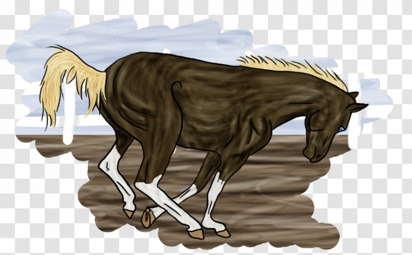 Mustang Stallion Rein Pack Animal Halter - Mane - Desert Dream Transparent PNG