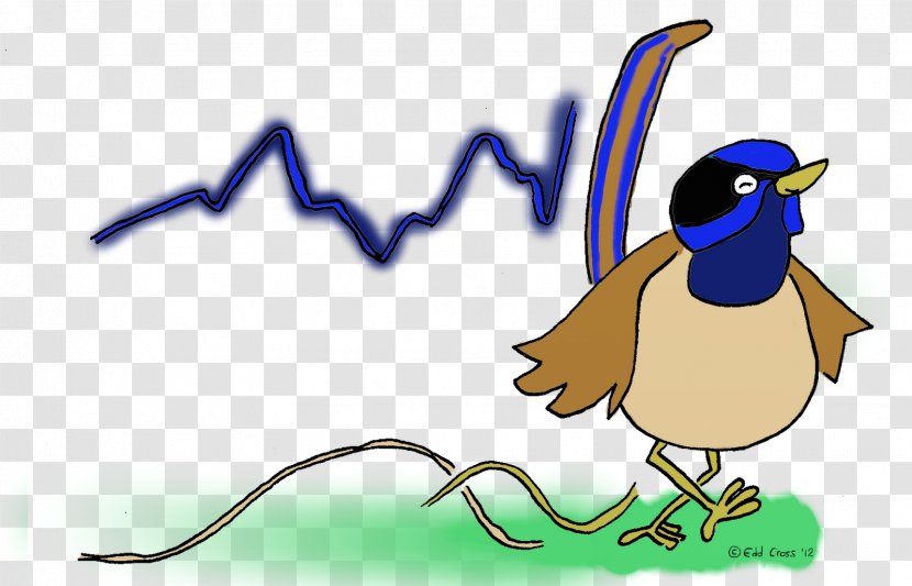 Bird Art Clip - Cartoon - Cockatoo Transparent PNG