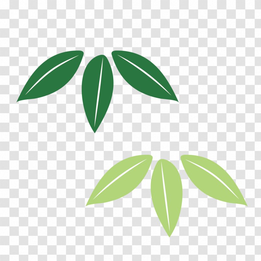 Leaf Plant Stem Font Tree - Green Transparent PNG