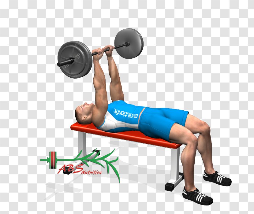 Weight Training Barbell Triceps Brachii Muscle Lying Extensions - Cartoon Transparent PNG