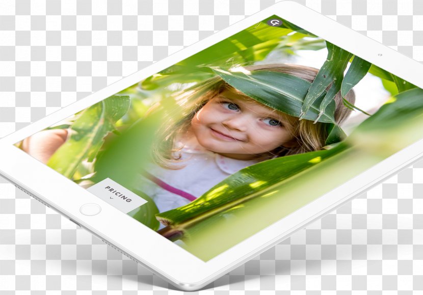 Mockup Photographic Paper Photography - User - Creative Transparent PNG