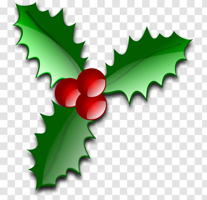 Common Holly Christmas Tree Leaf Clip Art - Plant - Icons Pictures Transparent PNG