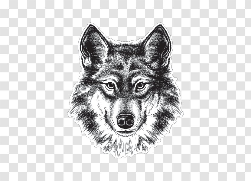 Gray Wolf Siberian Husky Coyote Drawing Sketch - Wildlife - Sticker Transparent PNG