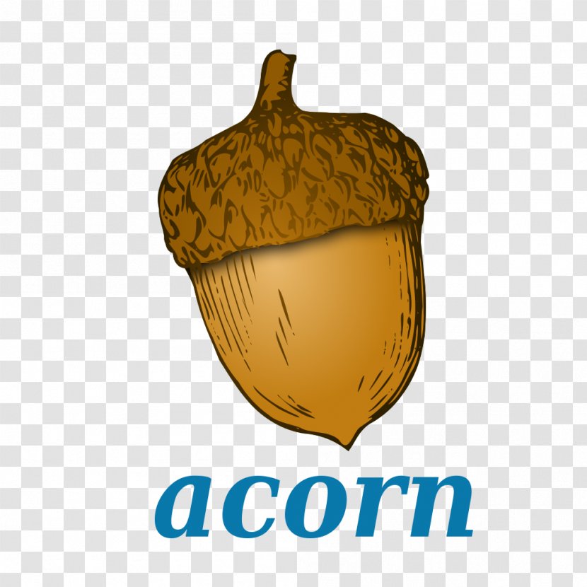 Acorn Clip Art - Food - Squash Transparent PNG