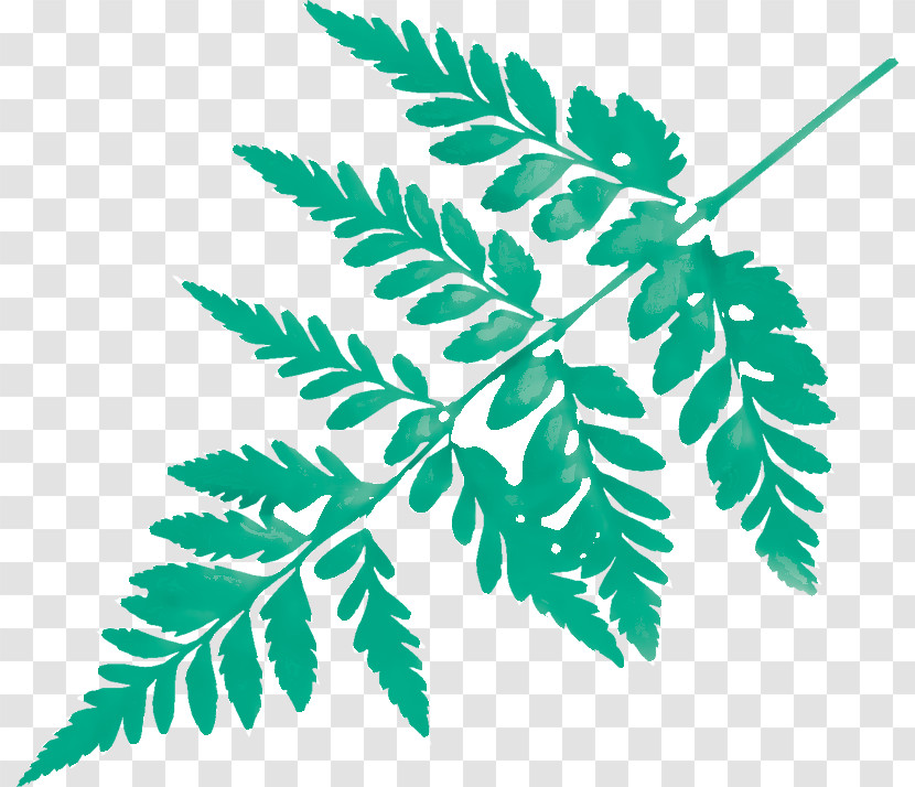 Branch Plant Stem Leaf Line Plants Transparent PNG