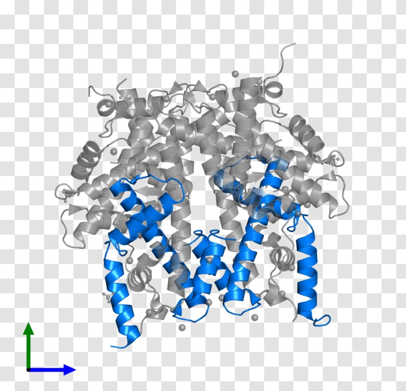 Histone H4 Protein Octamer HIST1H4F - Text Transparent PNG