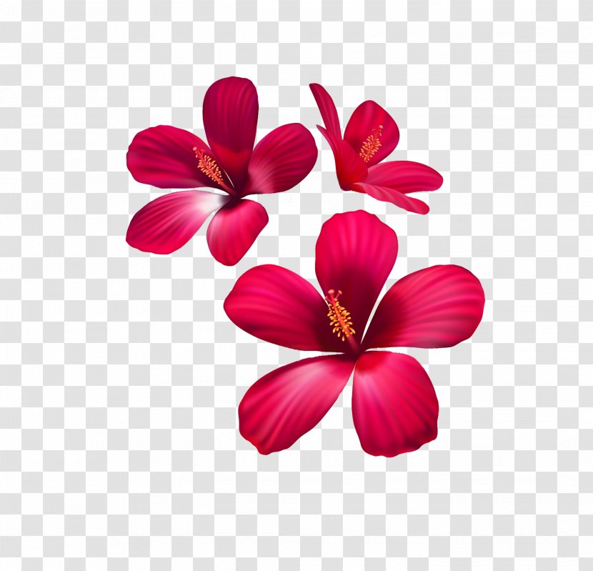 Rozetka Art-Shpalery Flower Fototapet 3D Computer Graphics - Hibiscus - Floral Elements Transparent PNG