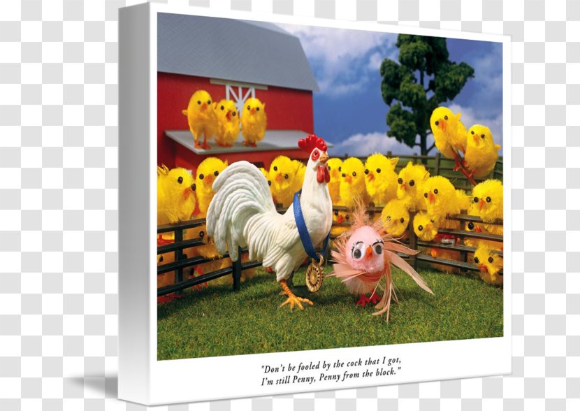 Rooster Gallery Wrap Canvas Advertising Art - Sloane Tanen Transparent PNG