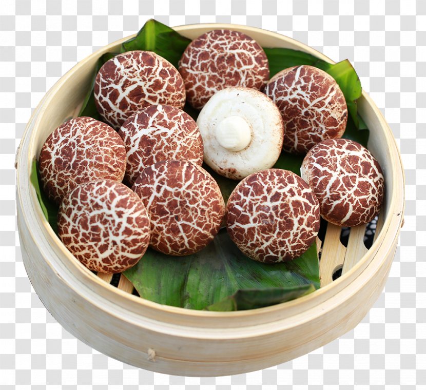 Cha Siu Bao Baozi Bun - Mushroom Buns And Transparent PNG