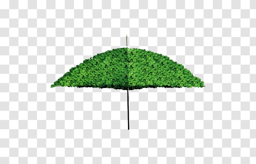 Umbrella Creativity Cdr - Tree - Leaf Transparent PNG