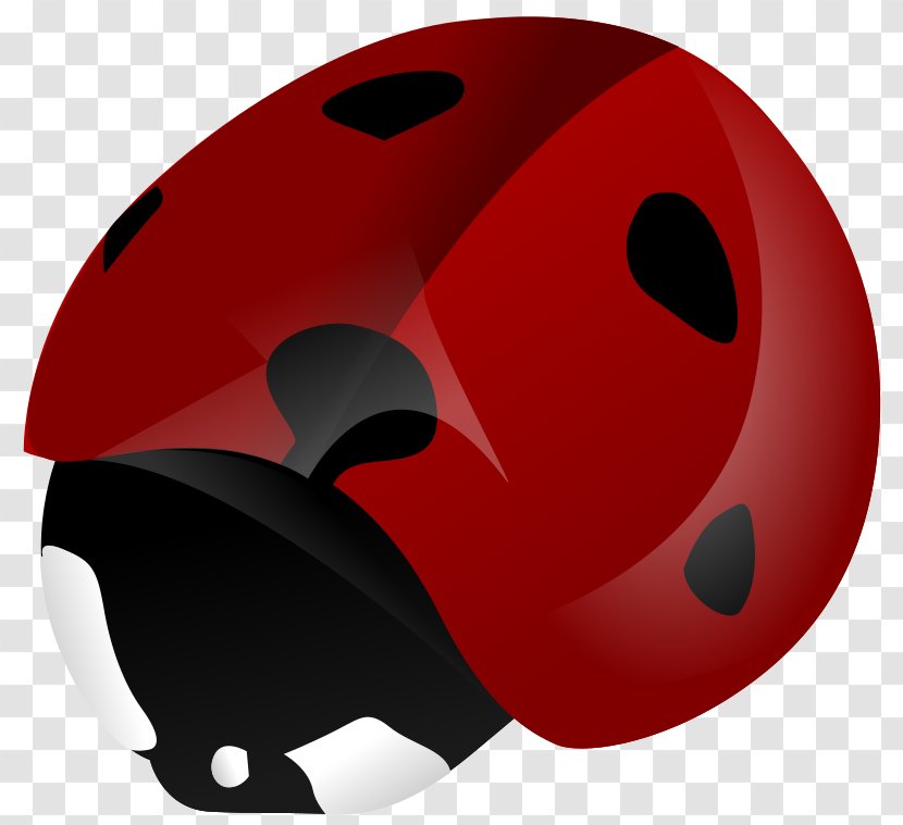 Ladybird Beetle Clip Art - Baseball Equipment - Coccinella Transparent PNG