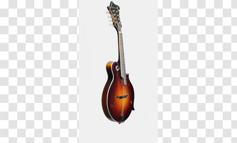 Bass Guitar Acoustic Acoustic-electric Violin Mandolin - Cartoon Transparent PNG