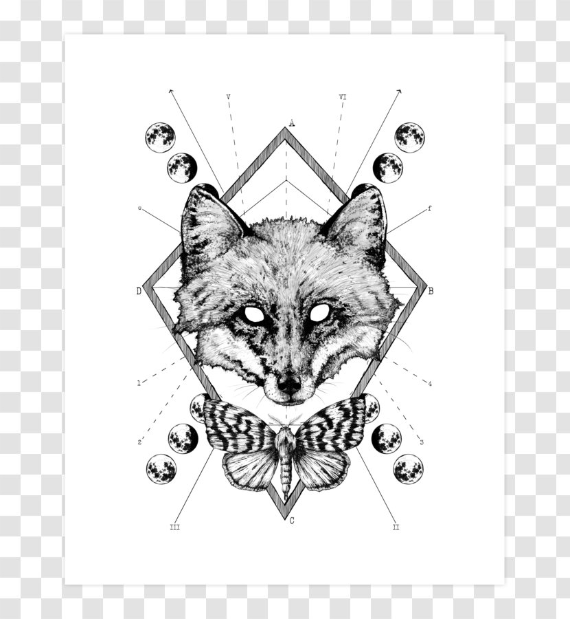 T-shirt Hoodie Red Fox Whiskers - Cat Transparent PNG