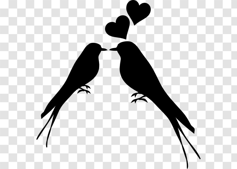 Lovebird Kiss Silhouette Clip Art - Fauna - Bird Transparent PNG