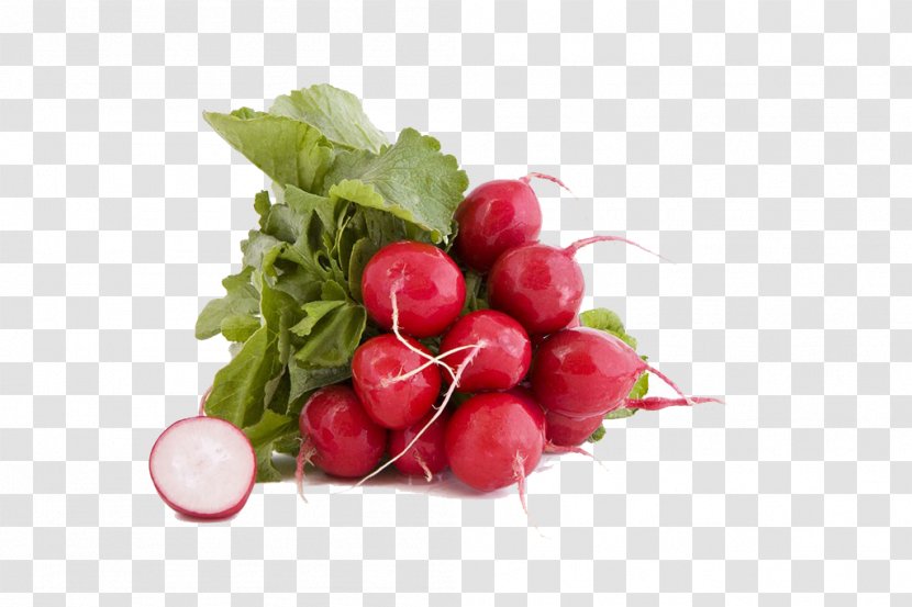 Garden Radish Daikon Organic Food Black Spanish Vegetable - Cherry - Carrot Pictures Transparent PNG