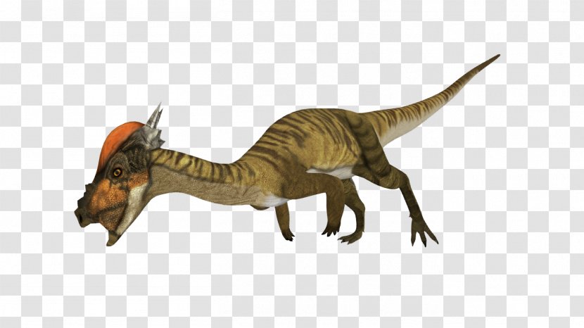Velociraptor Stygimoloch Tyrannosaurus Google Sites Search - Dinosaur Transparent PNG