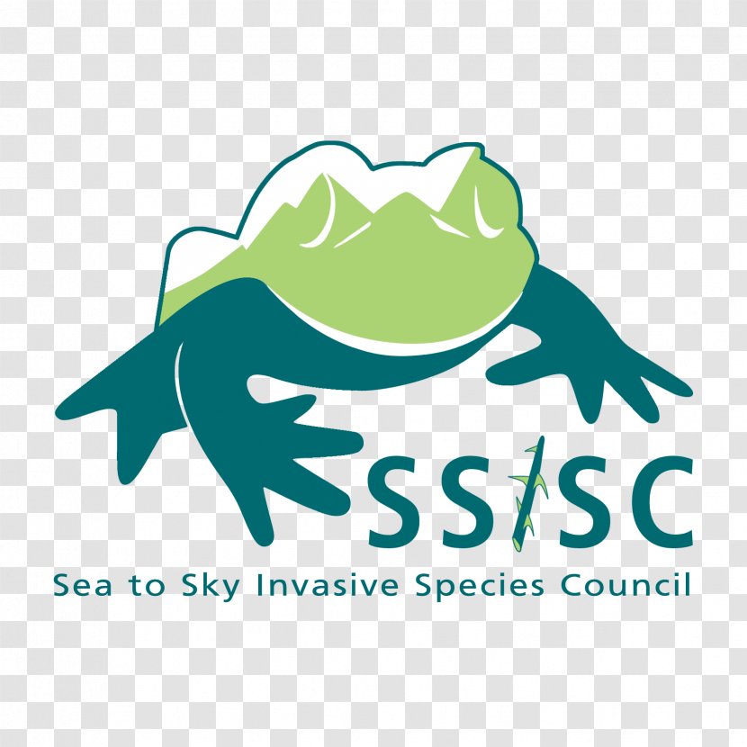 Invasive Species Council American Bullfrog Alice Lake Provincial Park Red-eared Slider - Frog Design Logo Transparent PNG