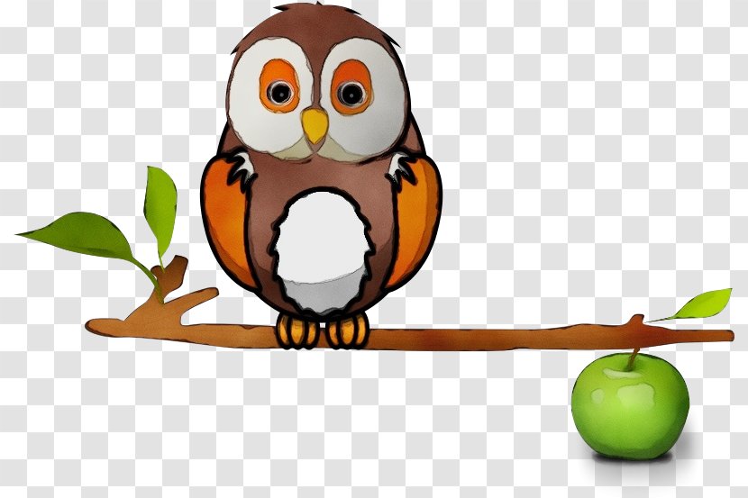 Owl Bird Cartoon Clip Art Branch - Watercolor - Beak Of Prey Transparent PNG