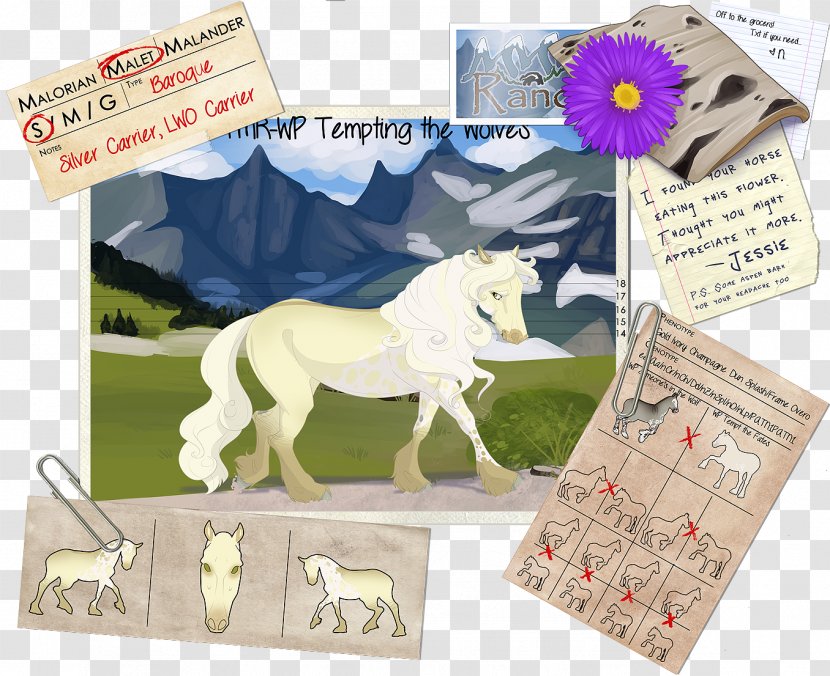 Horse Paper Animal Mammal - Product - Tempting Transparent PNG