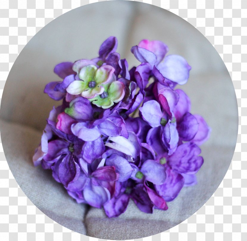 Instagram Hydrangea Violet Facebook - Family - Hortensia Transparent PNG