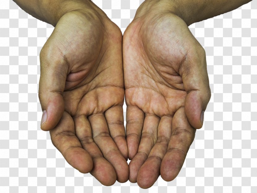 Holding Hands Finger Photography - Thumb Transparent PNG
