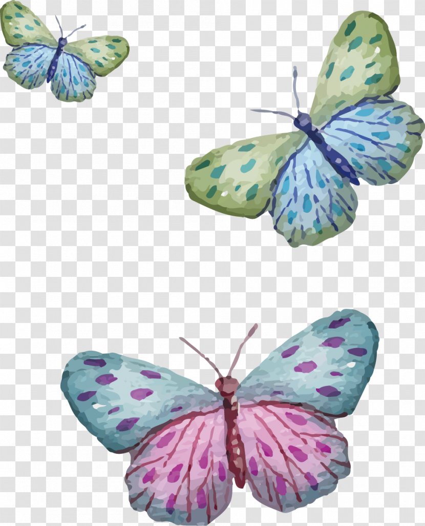 Vector Painted Three Butterfly - Aqua - Organism Transparent PNG