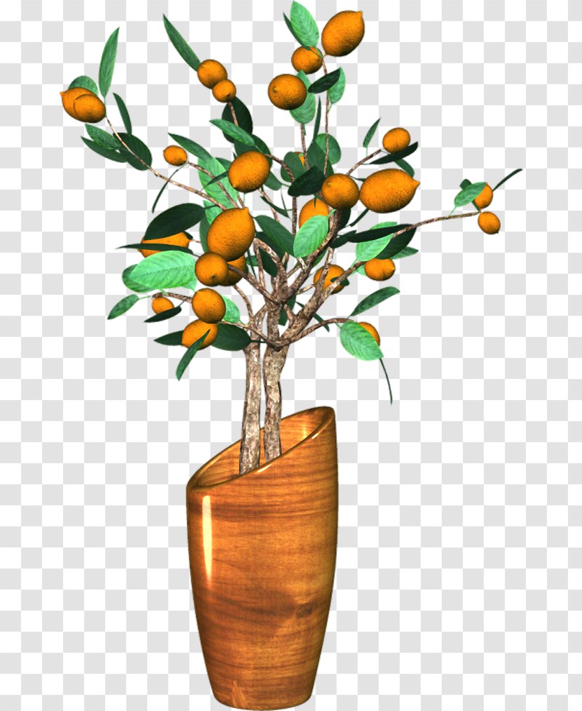 Flowerpot Ornamental Plant Bonsai - Orchids - Flower Transparent PNG