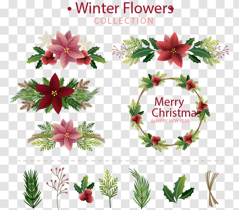 Flower Floral Design Euclidean Vector Illustration - Mistletoe - Winter Flowers Collection Transparent PNG