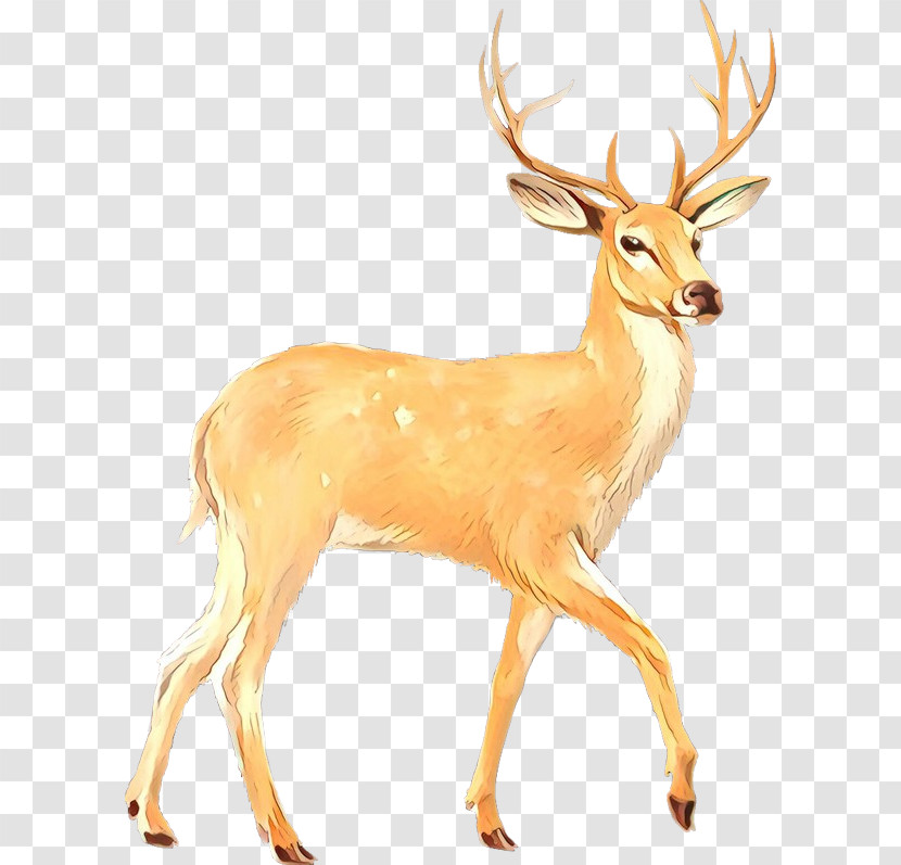 Reindeer Transparent PNG