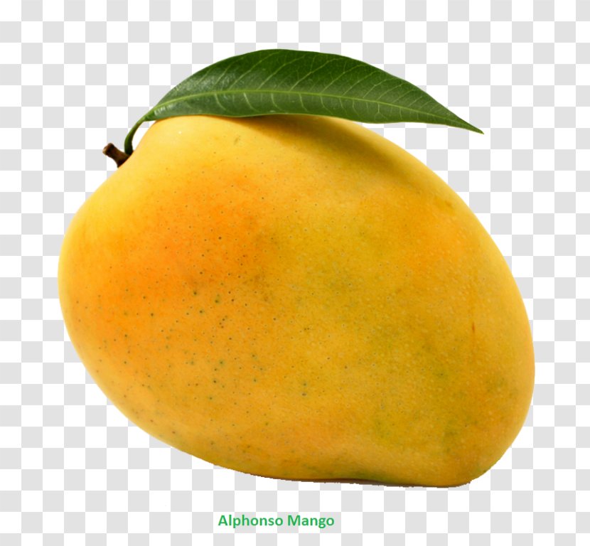 Clip Art Mango Transparency Fruit - Alphonso Transparent PNG