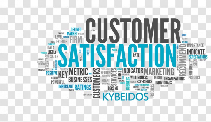 Customer Satisfaction Contentment Brand Service - Blue - Experience Transparent PNG