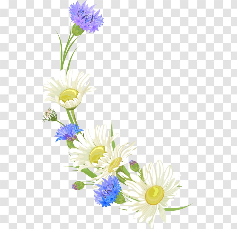 Floral Design Cut Flowers Illustration Chrysanthemum - Oxeye Daisy - Flower Transparent PNG