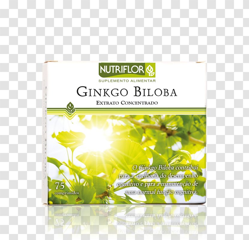 Health Food Shop Dietary Supplement Price - Fat - Ginkgo-biloba Transparent PNG