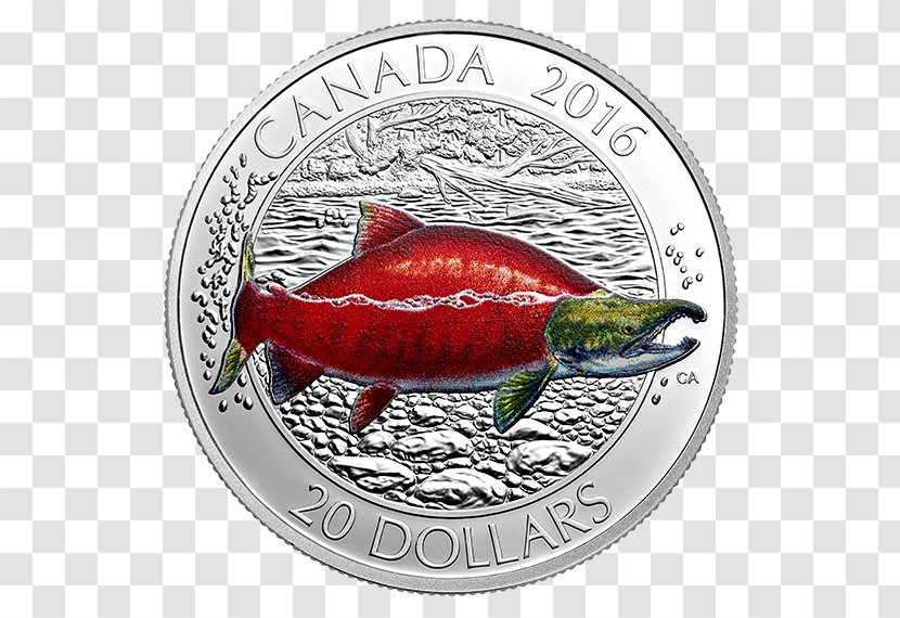 Coin Canada Fish Silver Salmon - Salmonids - Sockeye Transparent PNG