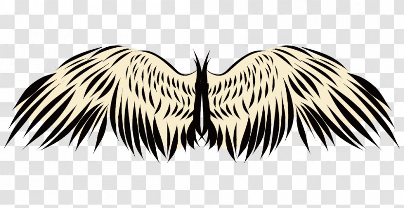 Wing Feather Calligraphy Font Design - Supernatural Creature - Bird Transparent PNG