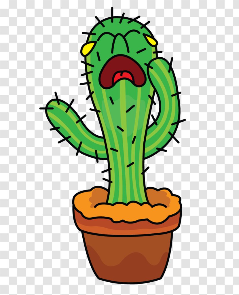 Drawing Cactaceae YouTube - Youtube Transparent PNG