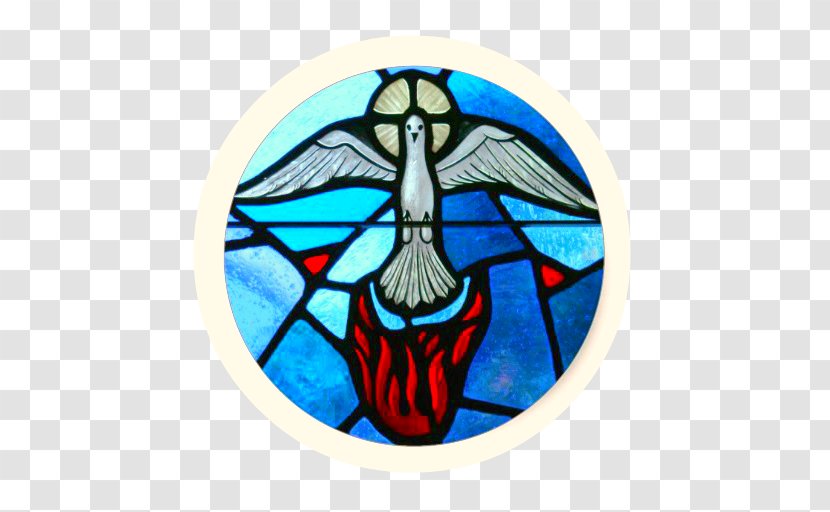 Holy Redeemer Church, Bray New Testament Confirmation Spirit Parish - Catholic Catechesis - Baptism Transparent PNG