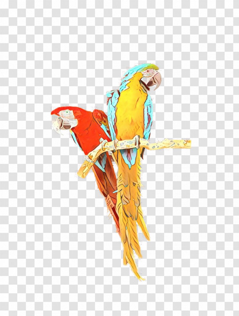 Lovebird - Beak - Wing Transparent PNG