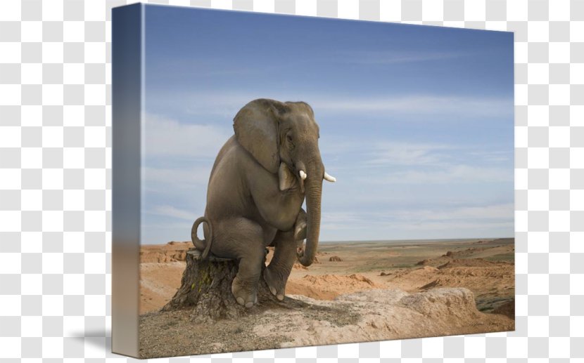 La Sagesse Ordinaire Histoire De Philosophie Moderne Et Contemporaine: Figures Oeuvres Philosophy Imagekind Idea - National Park - Watercolor Elephant Transparent PNG