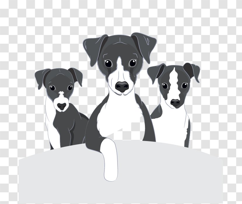 Dog Breed Italian Greyhound Puppy Companion Transparent PNG