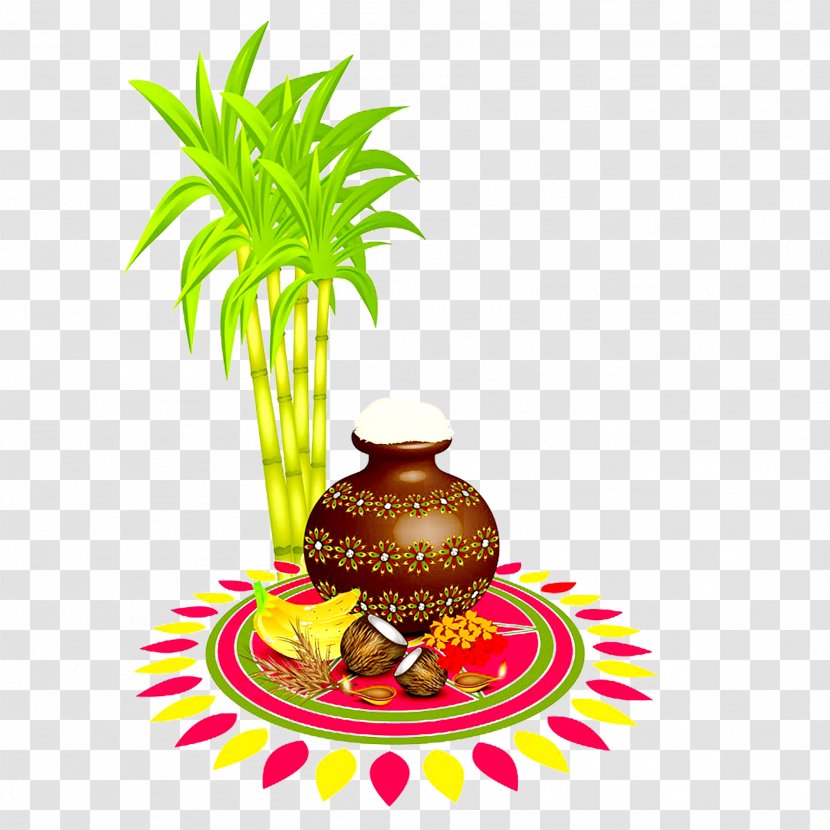 Thai Pongal Makar Sankranti Telugu Language Rangoli - Illustration Transparent PNG