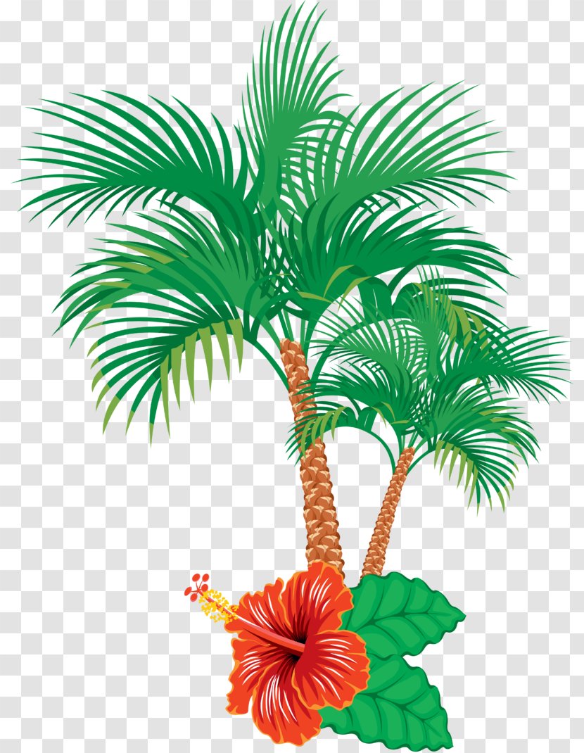 Vector Graphics Illustration Clip Art Palm Trees Image - Woody Plant - Coco Tree Transparent PNG
