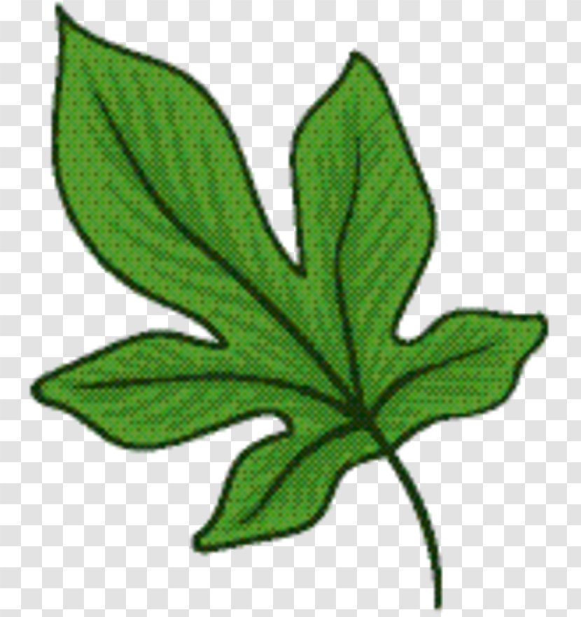 Green Leaf Background - Botany - Plane Symbol Transparent PNG