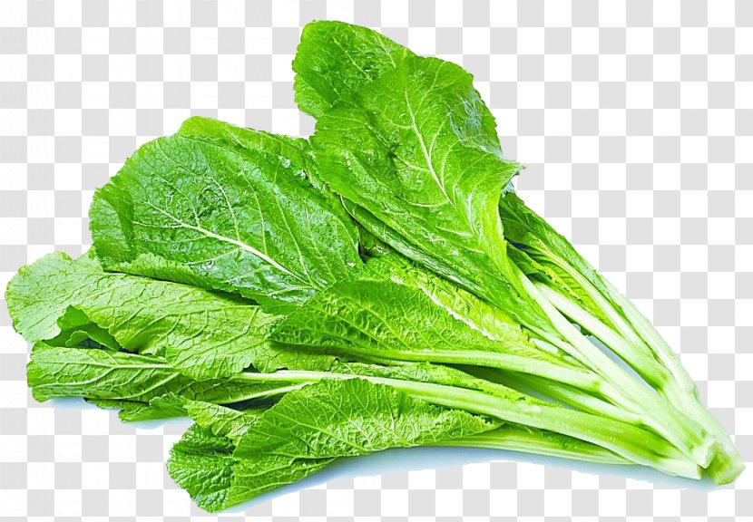 Brassica Juncea Romaine Lettuce Rapini Vegetable - Vegetables Transparent PNG