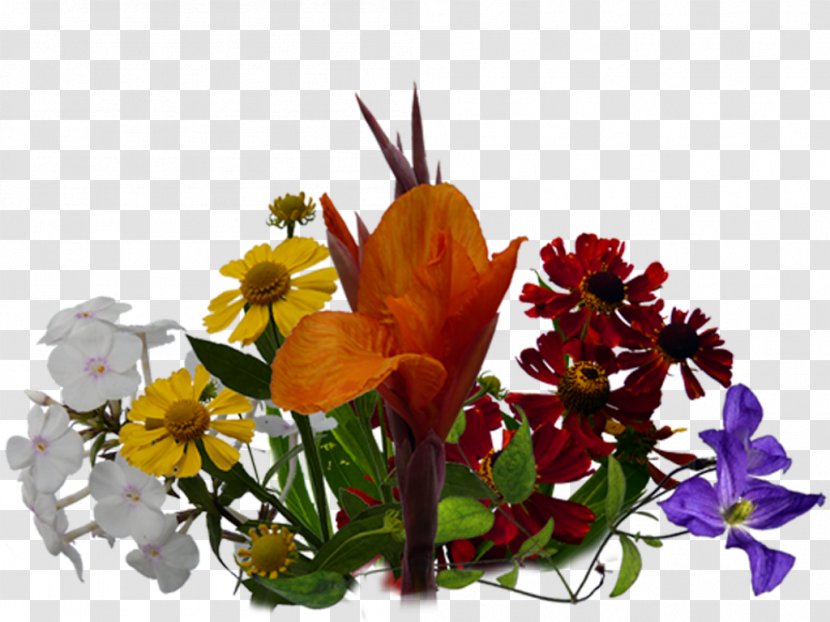 Cut Flowers Floral Design Bylina Floristry - Flowering Plant - Blumen Transparent PNG